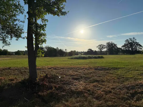 Lot 3 Cr 3204, Quitman, TX 75783