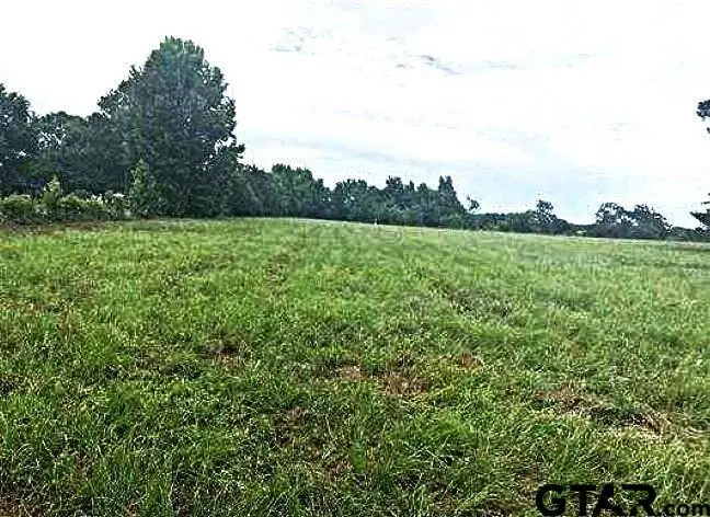 Lot 3 Cr 3204, Quitman, TX 75783 - #3