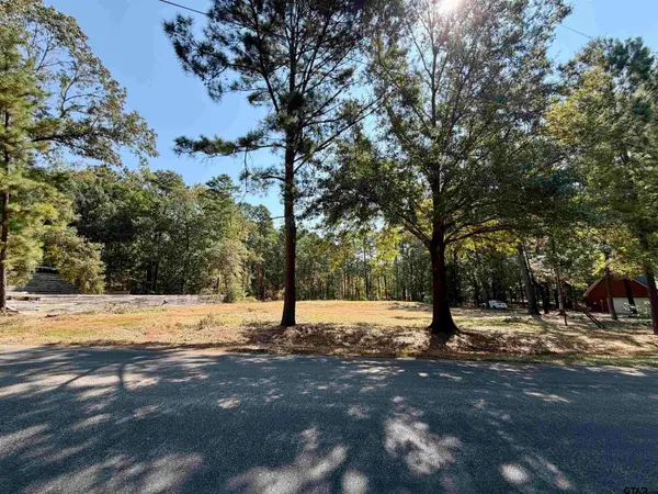 18084 Deer Trl, Flint, TX 75762