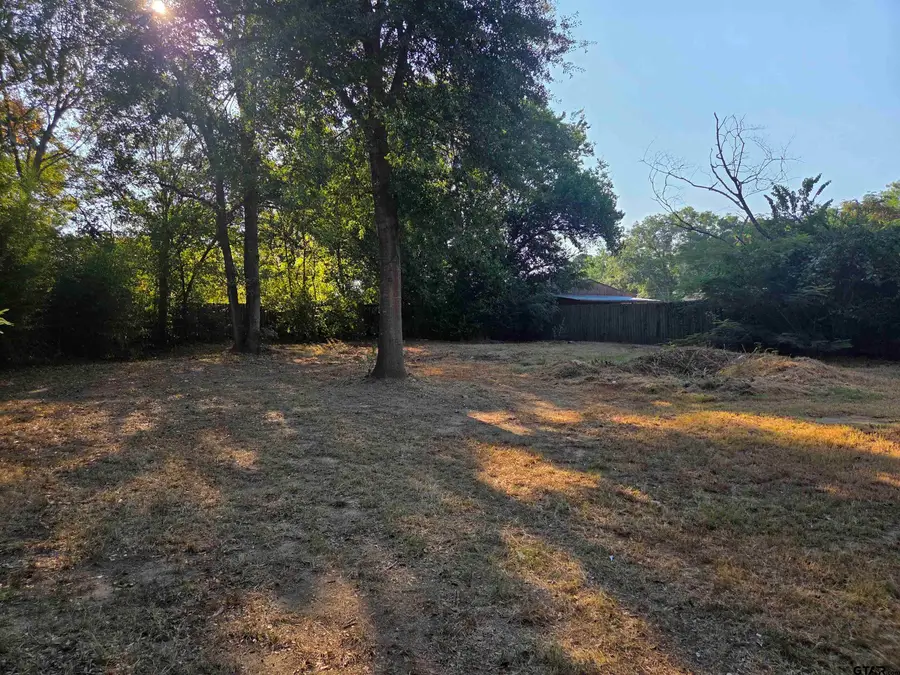 405 Willingham Rd., Whitehouse, TX 75791 - #3