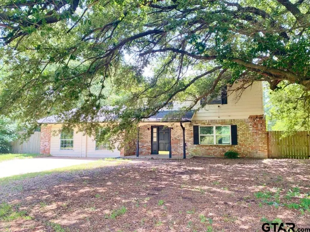 733 Country Road 1203, Daingerfield, TX 75638 - #1