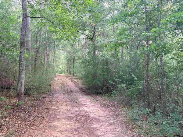 tbd 11 ACRES County Road 2125, Rusk, TX 75785