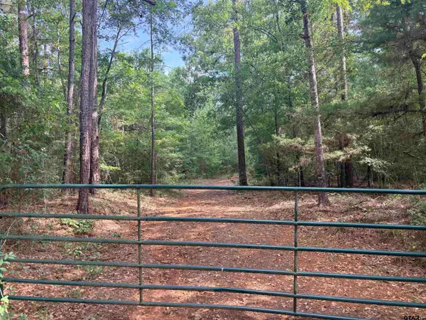 tbd 10 ACRES County Road 2125, Rusk, TX 75785