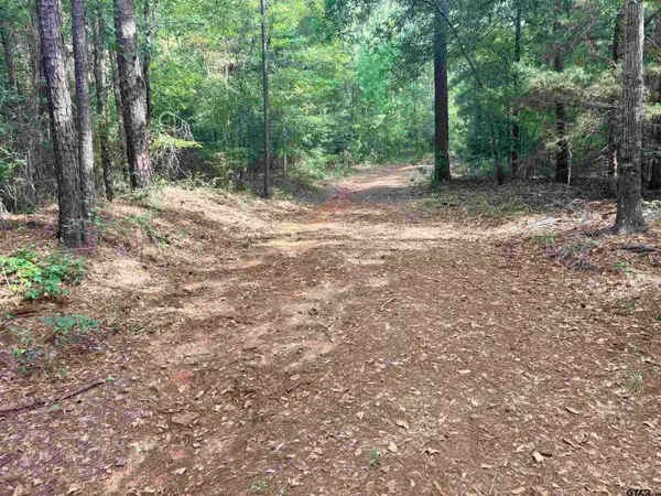tbd 10.10 ACRES County Road 2125, Rusk, TX 75785