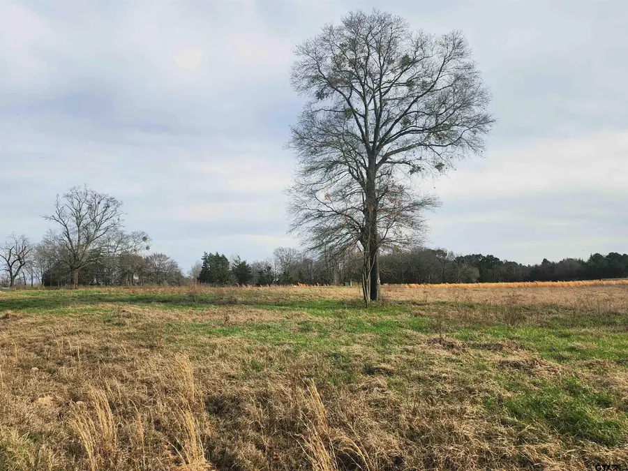 TBD Southshore Lot 52, Pittsburg, TX 75686 - #3