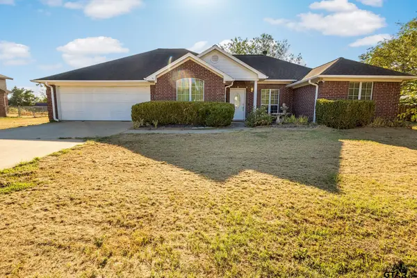 123 County Road 3101, Pittsburg, TX 75686