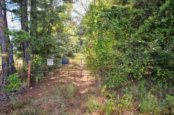 61.88 ac Cr 2920, Alto, TX 75925