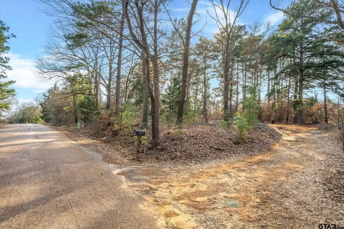 3.77 Acres County Road 3520, Brownsboro, TX 75756 - #1