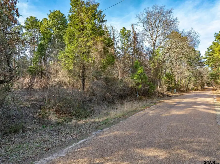 3.77 Acres County Road 3520, Brownsboro, TX 75756 - #3