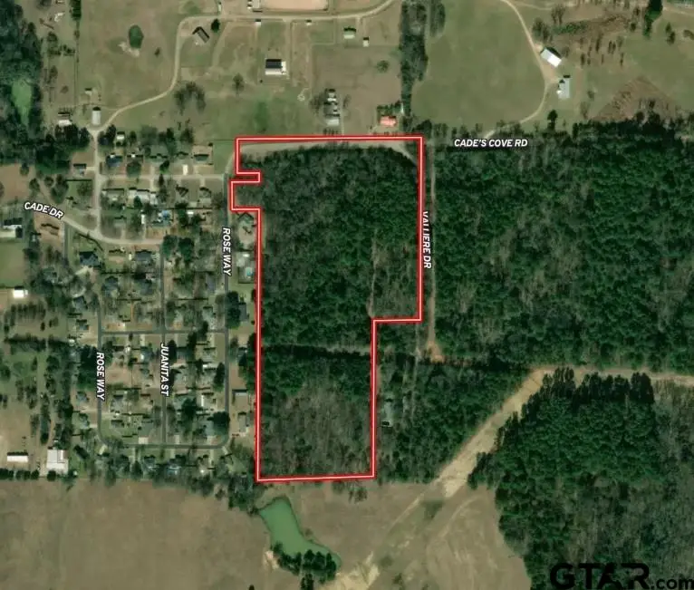TBD Cade Coves Road, Chandler, TX 75758 - #1