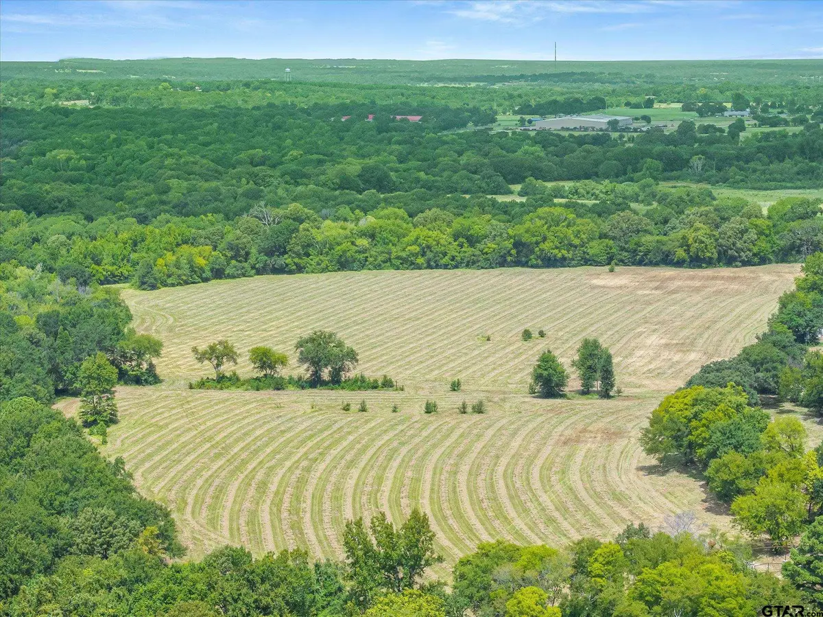 TBD Wood Street, Athens, TX 75751 - #1