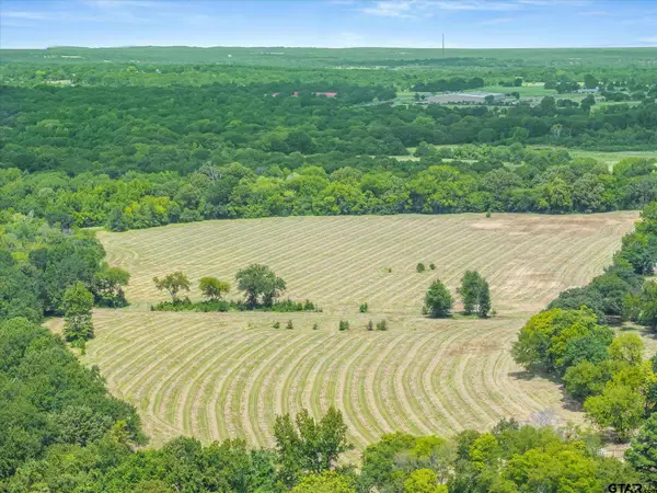 TBD Wood Street, Athens, TX 75751