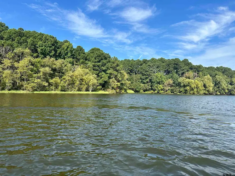 Lot 106 Oak River, Frankston, TX 75763 - #2