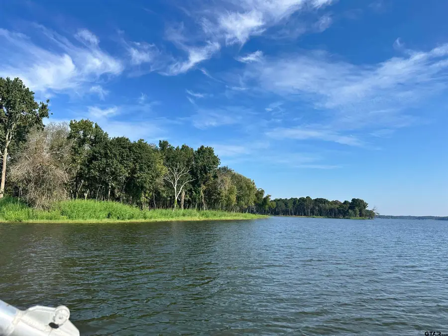 Lot 106 Oak River, Frankston, TX 75763 - #3