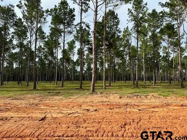Lot 52 Oak River, Frankston, TX 75763 - #1