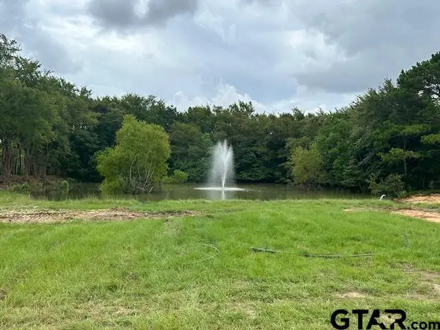Lot 52 Oak River, Frankston, TX 75763 - #3