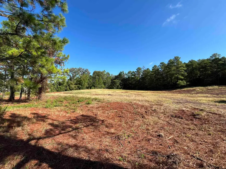 4650 Fm 724, Tyler, TX 75704 - #3