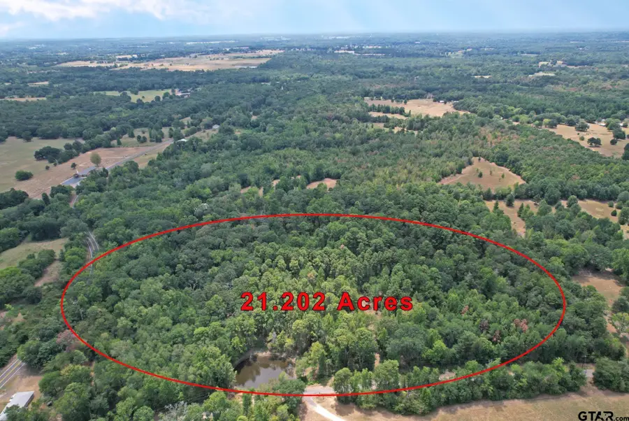 TBD Fm 69, Quitman, TX 75783 - #2