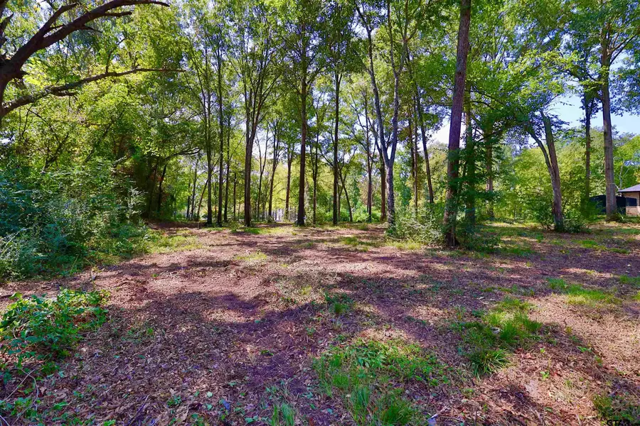 13929 Cr 294, Arp, TX 75750 - #2
