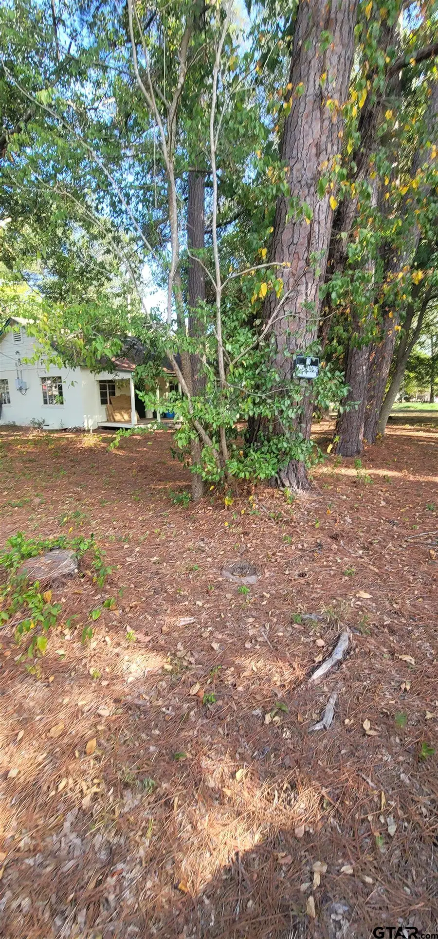 Highway 80, Mineola, TX 75773 - #3