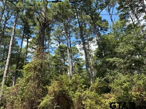 19317 N. State Highway 110, Troup, TX 75789
