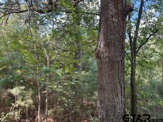 19317 N. State Highway 110, Troup, TX 75789 - #2
