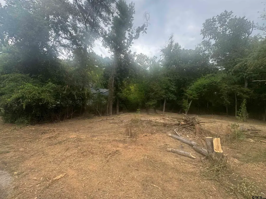 136 Vaughn, Tyler, TX 75702 - #3