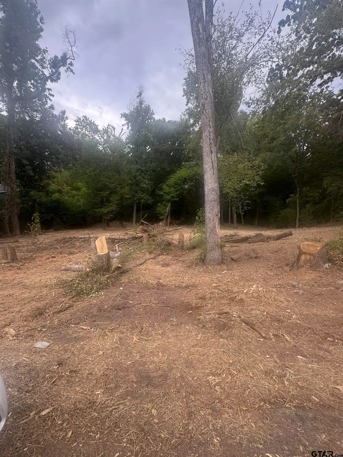 142 Vaughn Ave., Tyler, TX 75702 - #1