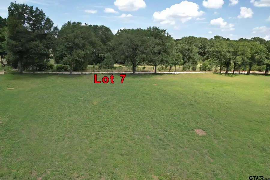 Lot 7 Vz Cr 3222, Wills Point, TX 75169 - #3