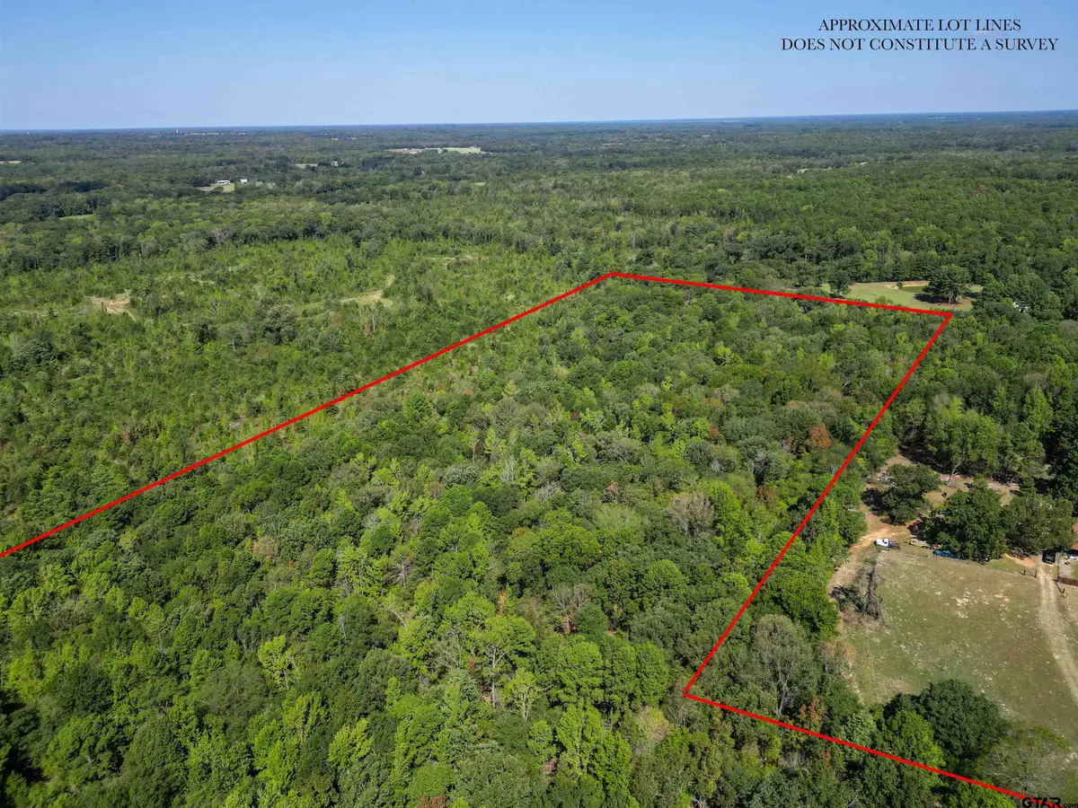 TBD Cr 2540, Mineola, TX 75773 - #1