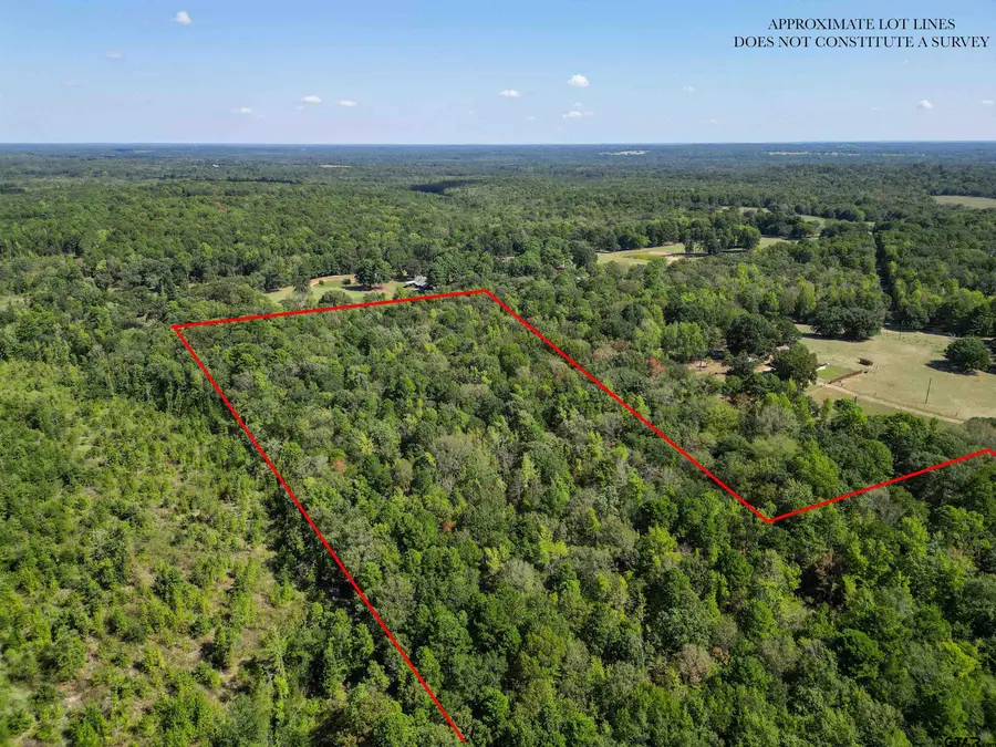 TBD Cr 2540, Mineola, TX 75773 - #3