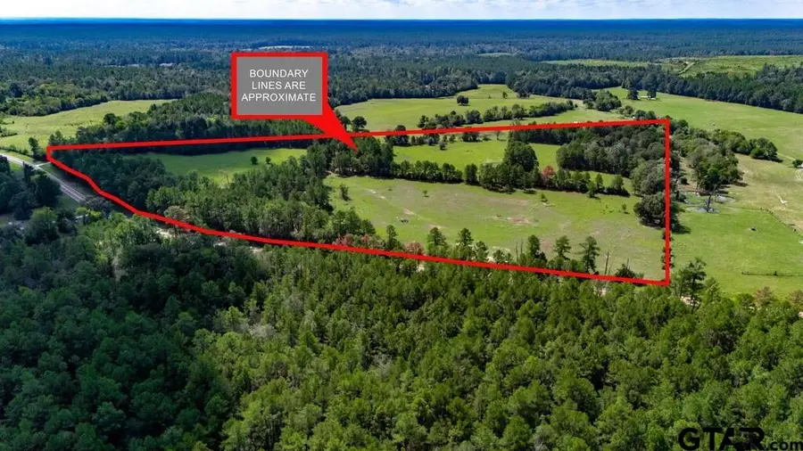 12040 Fm 2501, Apple Springs, TX 75926 - #2