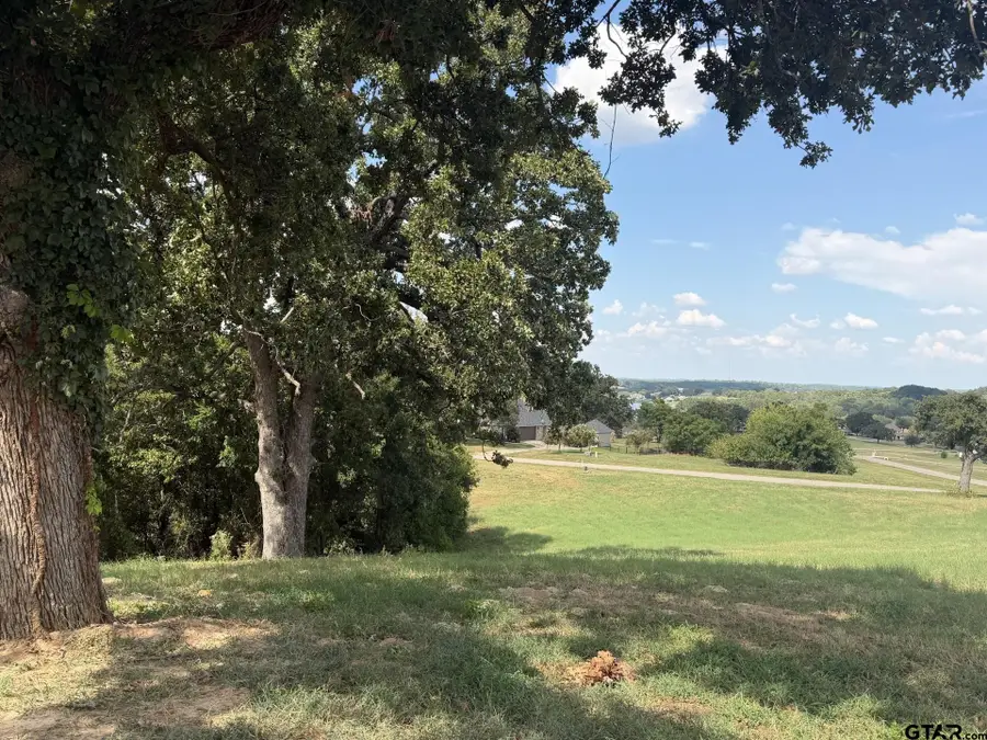 TBD High Point Ct, Athens, TX 75752 - #3