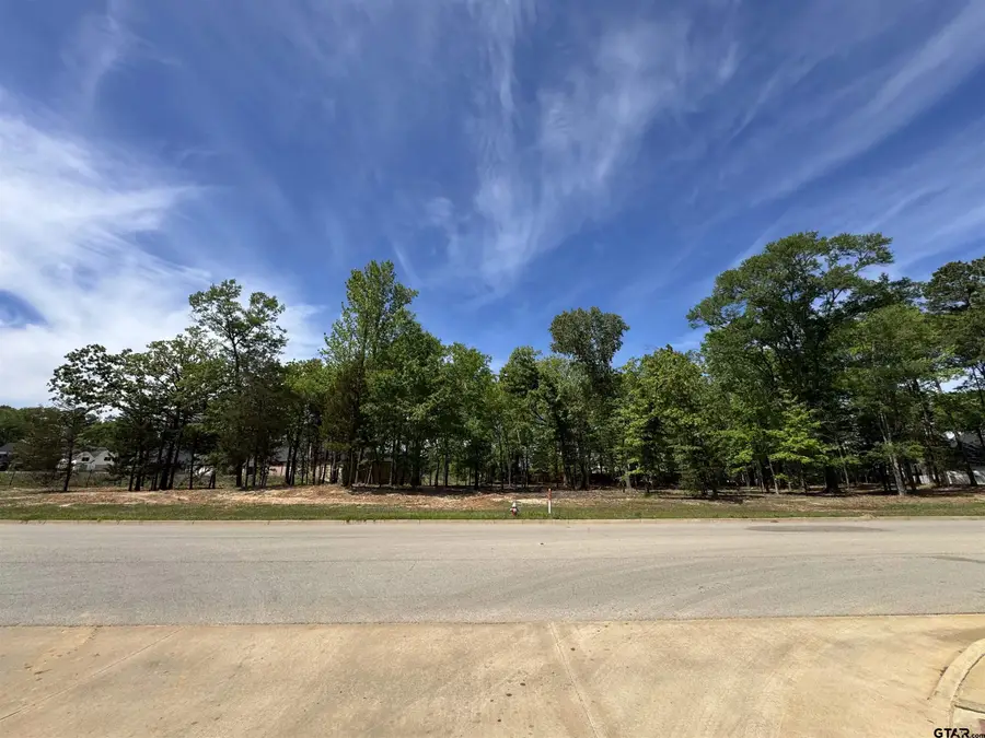 8061 Hollytree Dr, Tyler, TX 75703 - #3