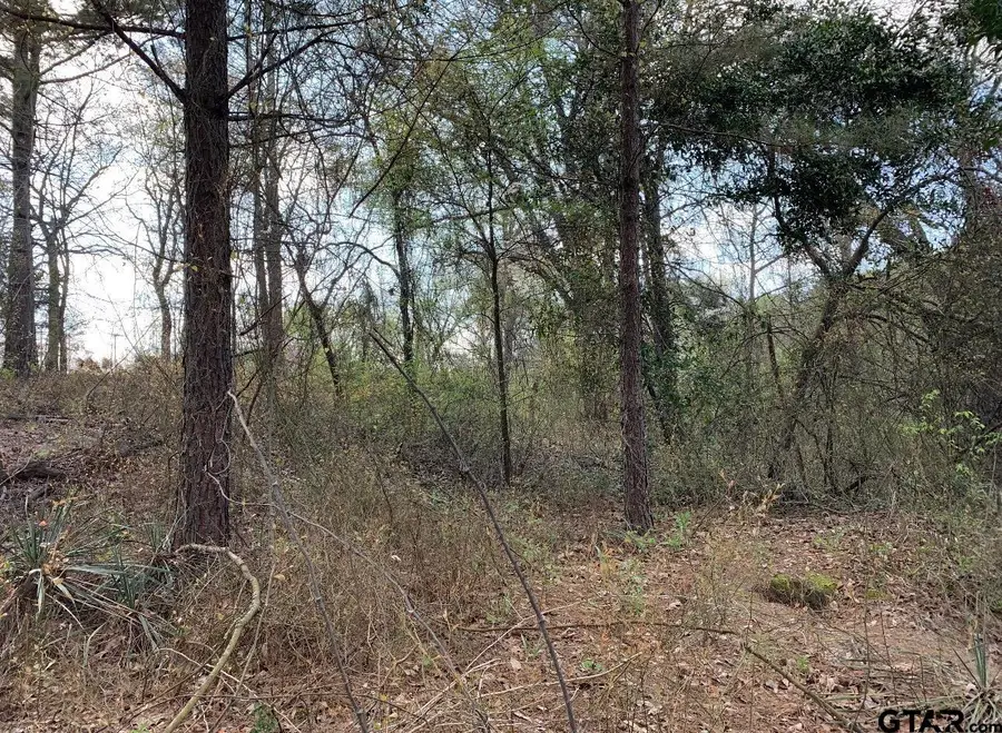 449 Interstate 20 E, Tyler, TX 75706 - #2