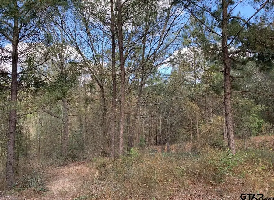 449 Interstate 20 E, Tyler, TX 75706 - #3