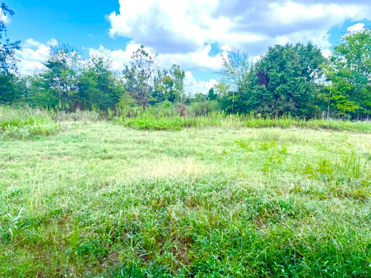 215 E Henderson St, Reklaw, TX 75784 - #1