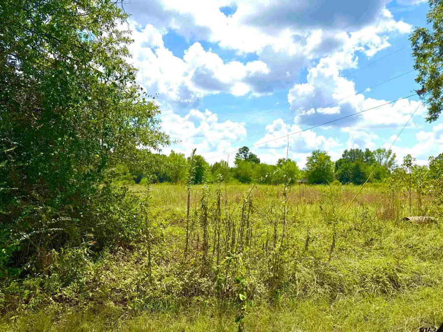 215 E Henderson St, Reklaw, TX 75784 - #2