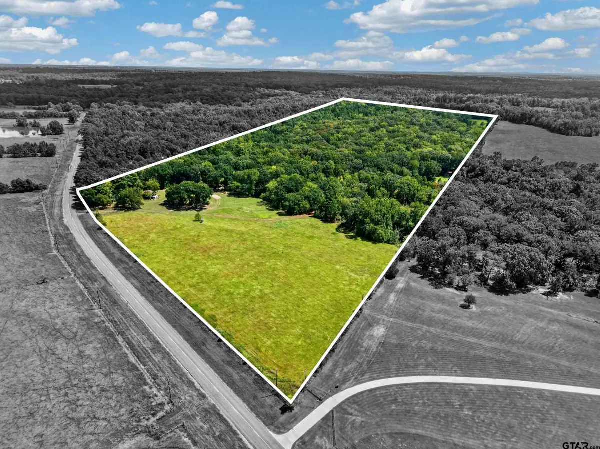 9933 W Fm 227, Grapeland, TX 75844 - #1
