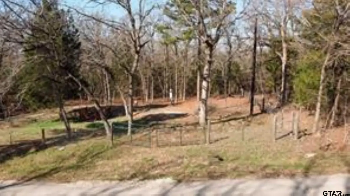 407, 411 Long Shadow, Murchison, TX 75778 - #1