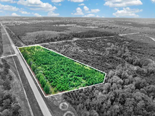 Tract #1 Fm 1280 (lone Star Ridge), Lovelady, TX 75851