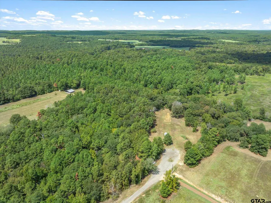 24670 Private Road 8102, Frankston, TX 75763 - #3