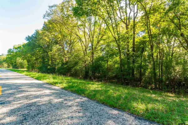 TBD Fm 2064 N, Troup, TX 75789