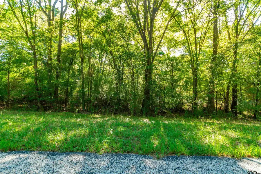 TBD Fm 2064 N, Troup, TX 75789 - #2