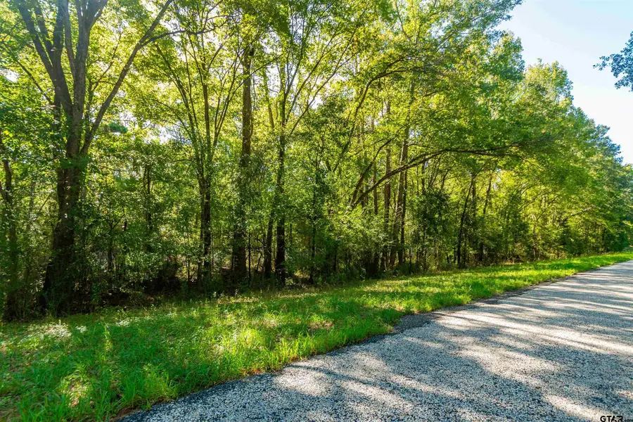 TBD Fm 2064 N, Troup, TX 75789 - #3