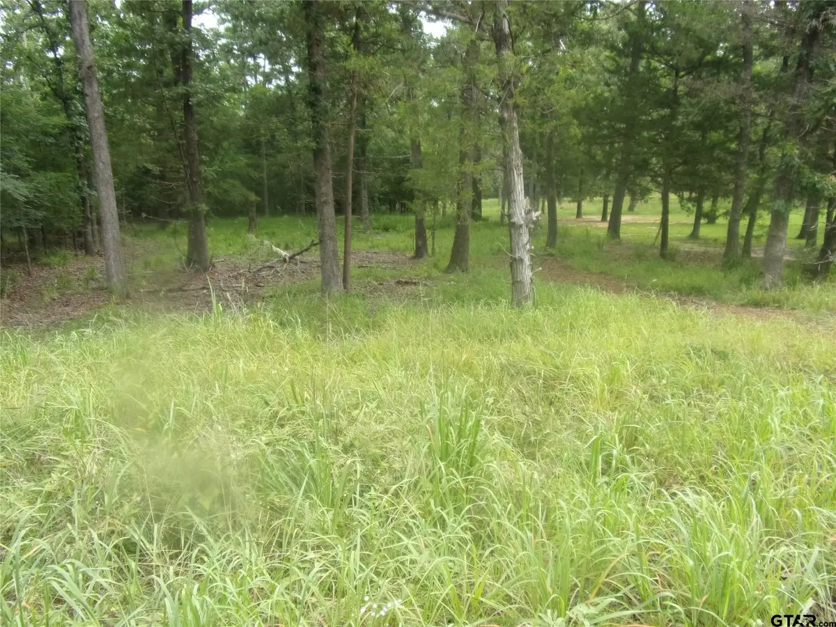 944 Whipporwill, Murchison, TX 75778 - #1
