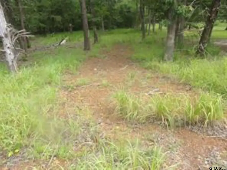 944 Whipporwill, Murchison, TX 75778 - #3