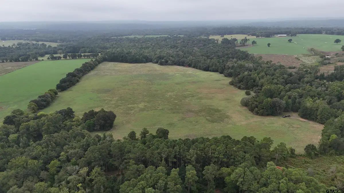 000 Sandy Road, Jacksonville, TX 75766 - #1