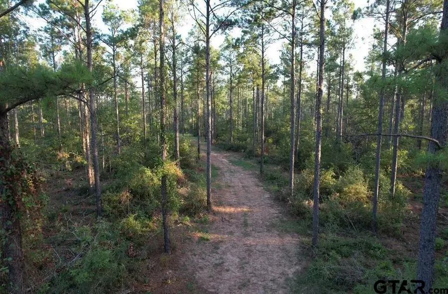 TBD Fm 3343, Joaquin, TX 75954 - #2