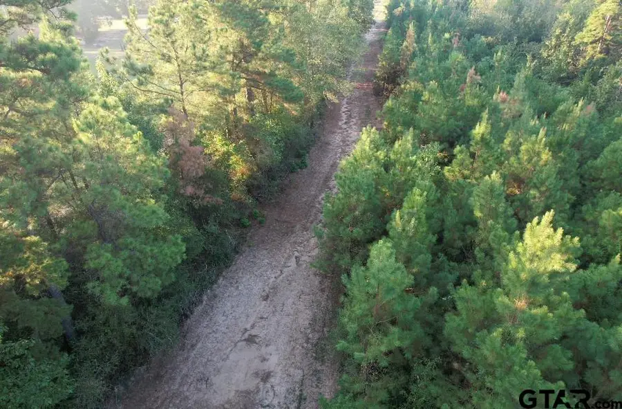 TBD Fm 3343, Joaquin, TX 75954 - #3